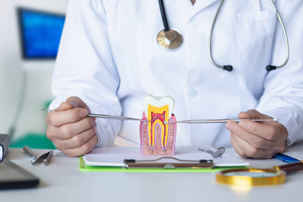 Best Emergency Tooth Extraction in Solana, FL